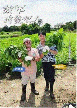 热度榜第八作品缩略图